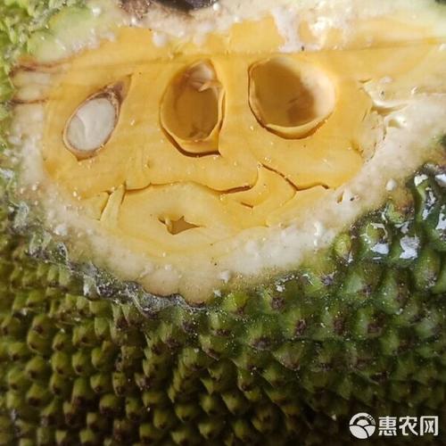 越南红肉菠萝蜜批发代发 工厂代办一站式服务指南